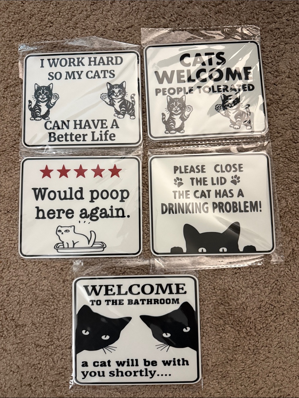 Set of 5 Black & White Funny Cat signs 6” x 5”